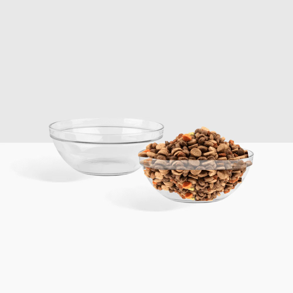 Small Glass Bowl Feeder - Image 12