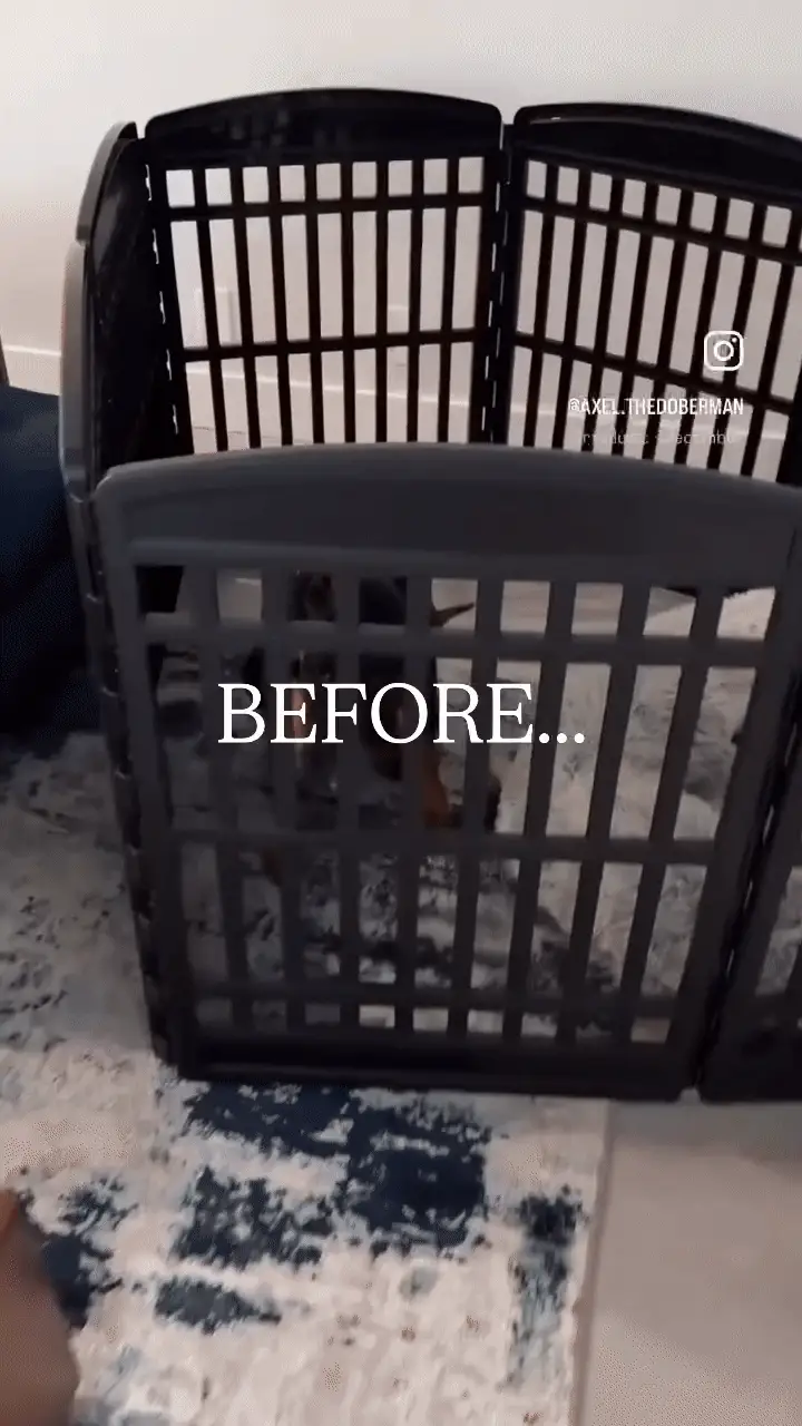 Clear Pet Playpen, 32" High with Door - Image 8