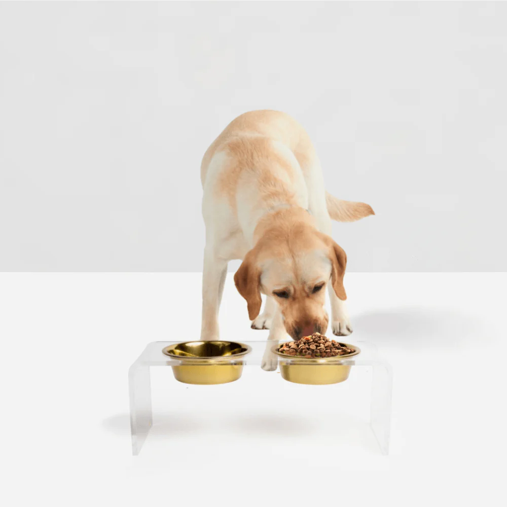 Medium Gold Feeder - Image 6