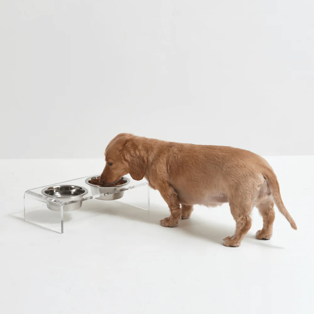 Small Silver Feeder - Image 10