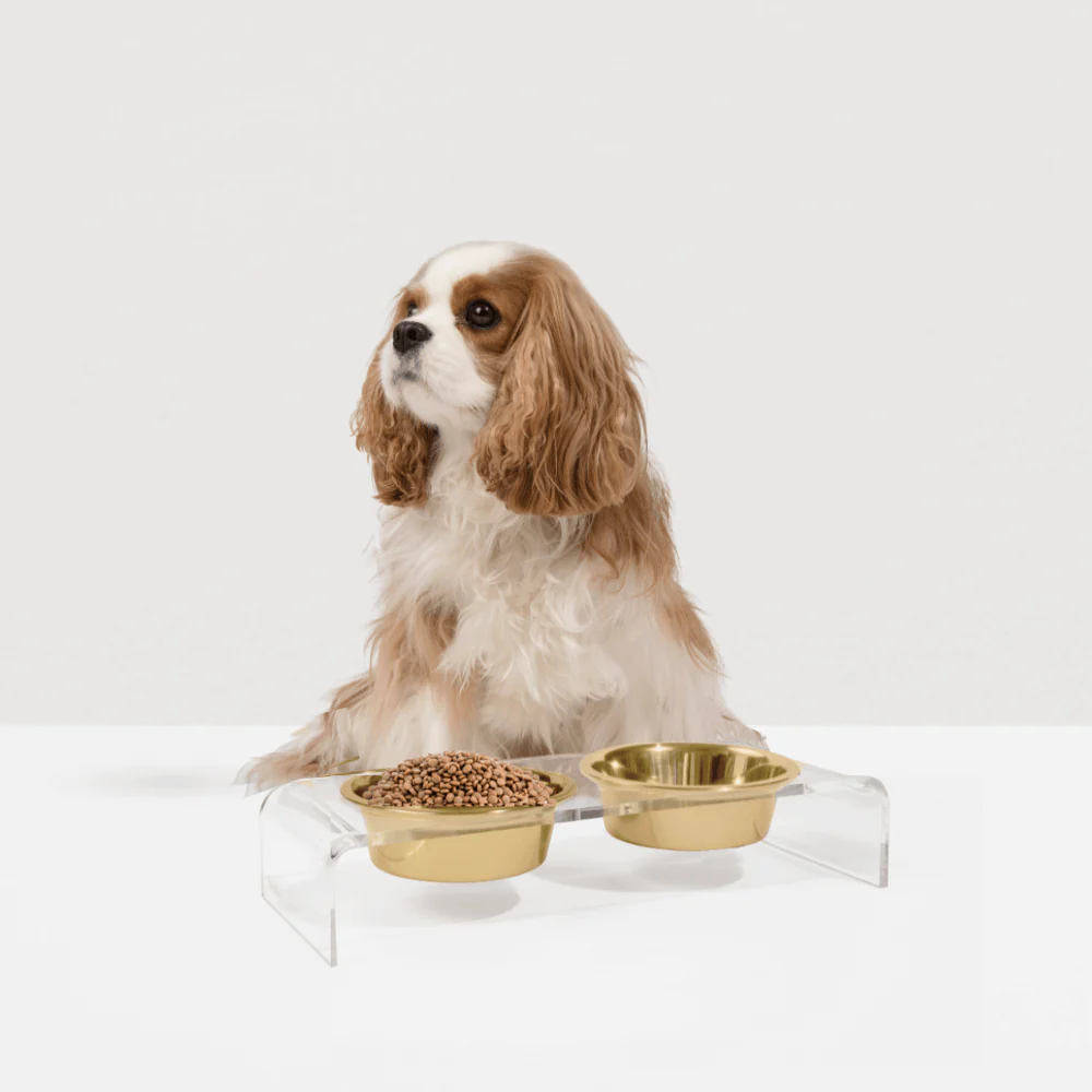 Small Gold Feeder - Image 12