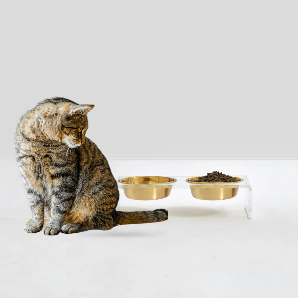 Small Gold Feeder - Image 5
