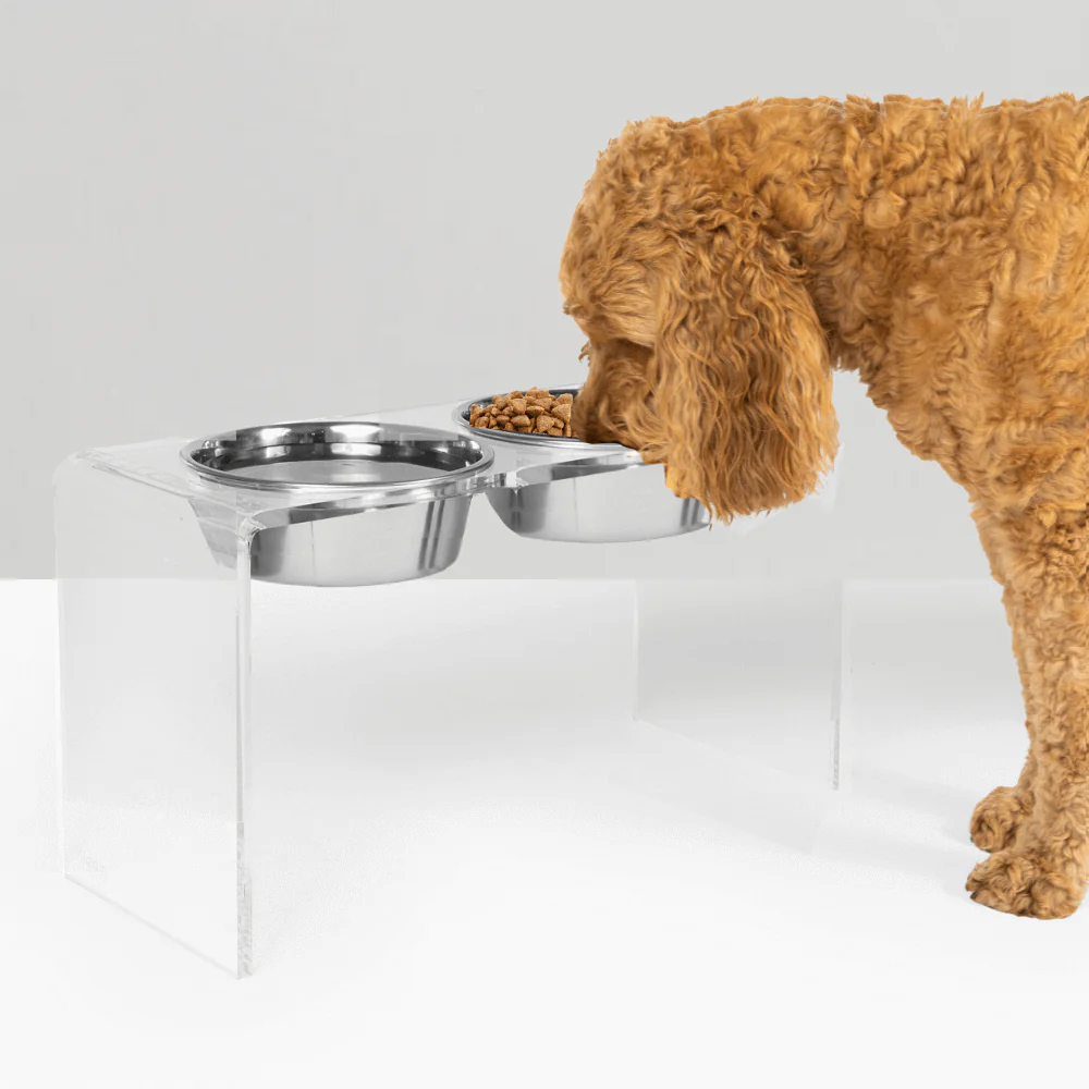 Tall Silver Double Feeder - Image 15