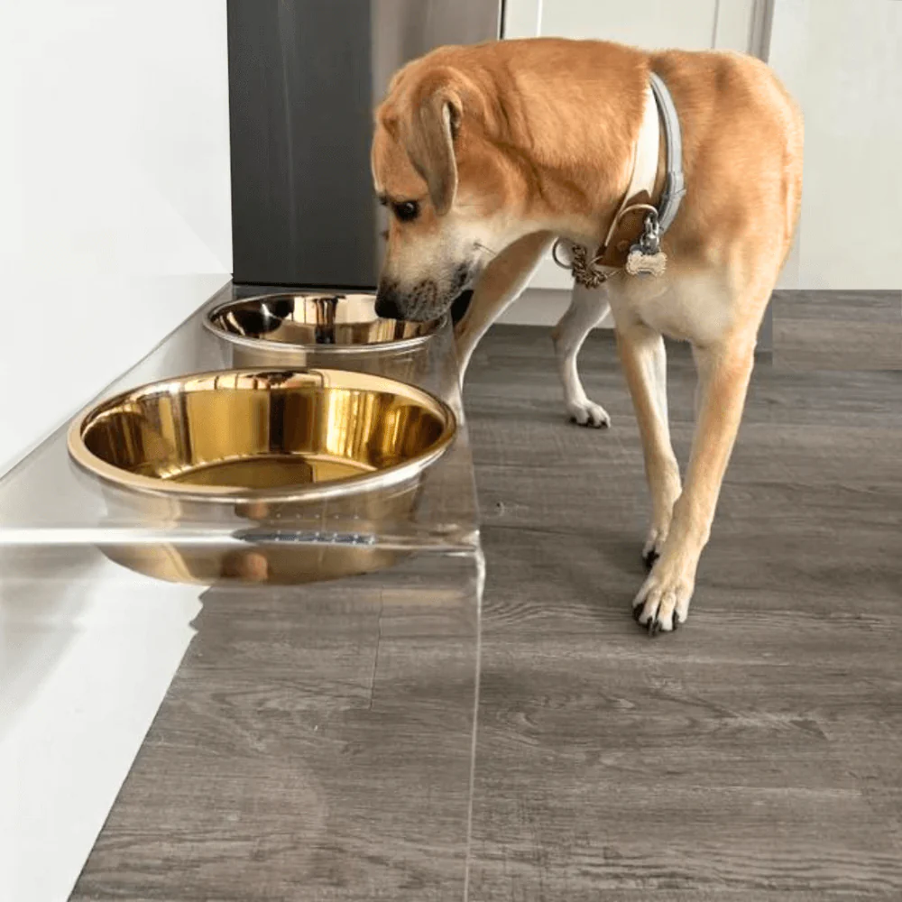 Tall Gold Double Feeder - Image 10