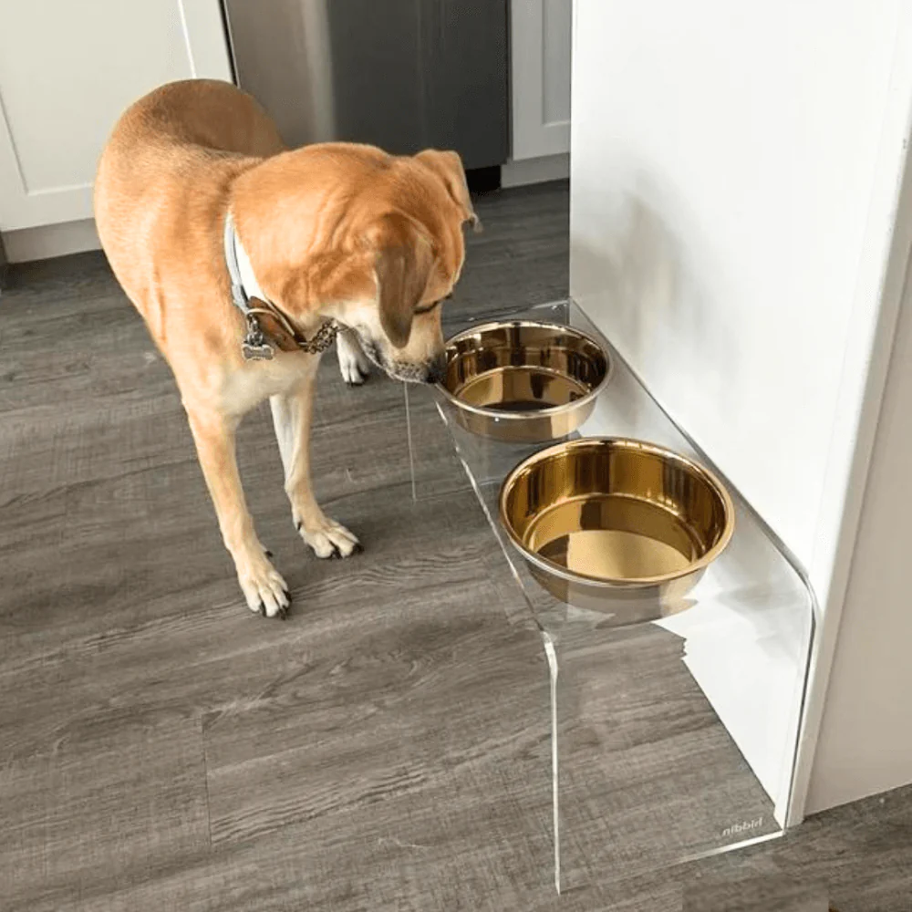 Tall Gold Double Feeder - Image 12