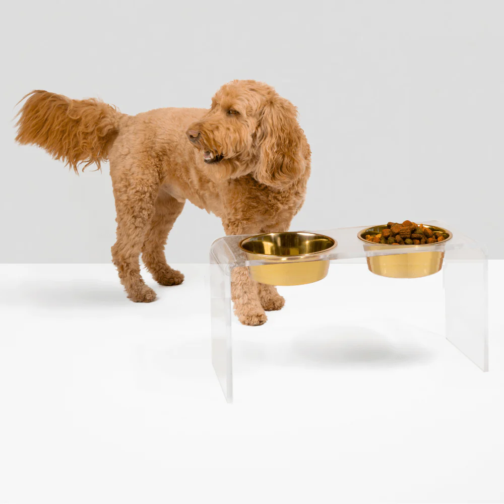 Tall Gold Double Feeder - Image 13