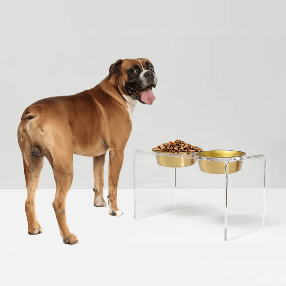 Tall Gold Double Feeder - Image 4